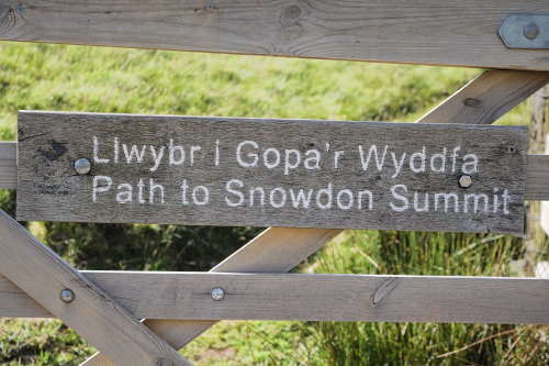 Day 1091 - Path to the Snowdon Summit written on a gate near Llanberis