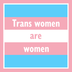 beautyoftrans:  ⚧ Transgirls are Women