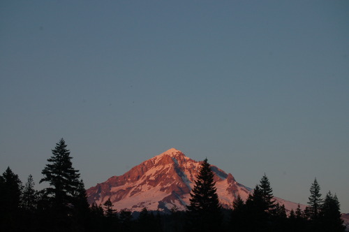 indie-moonlight:mooney-princess:sunset colors on mt. hoodjuly 6th, 2013what wonderful photography!