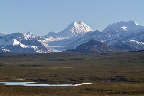 highways-are-liminal-spaces: Views of the northern Alaska Range, along the Denali HighwayTaken June 