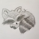 raccoonscratch: