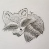 raccoonscratch: