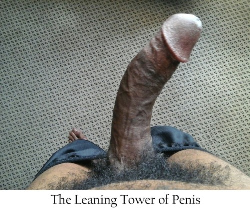 Porn deejpluto:  Penis Index. Which dick is yours? photos