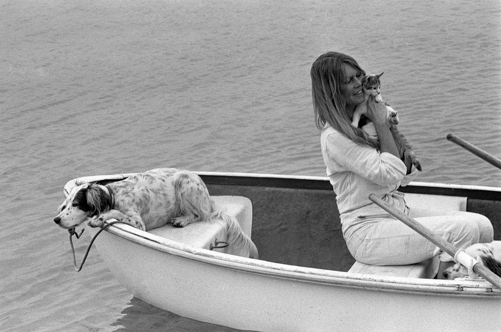 Brigitte Bardot and her dogs (and kitten) by Tony Frank, 1970s