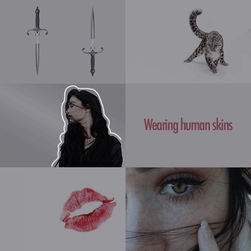 the-suriel:L Y S A N D R A“I will not apoligize to you. I serve her. And I am willing to spend the r