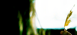 oh-shitnice-deactivated20140728:  - i’m an asshole - so am i - a couple of assholes