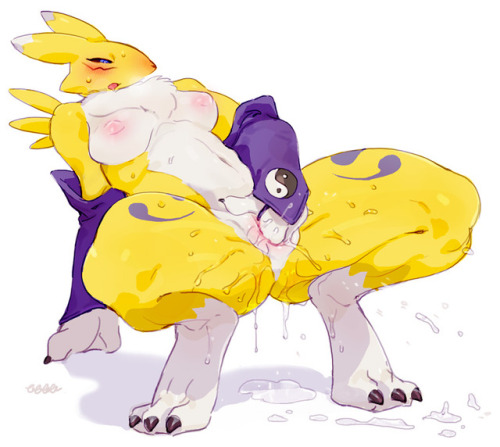 washletmskm:  renamon nsfw