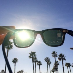 dpowlow:  Sunny Day in Cali 😎