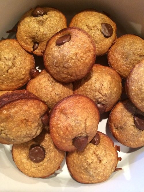 love2befit:  Flourless chocolate chip muffins Ingredients ½ cup almond butter (can use other nut butter as well) 1 ripe medium/large banana 1 egg ¼ cup honey ½ cup rolled oats 2 Tbsp. ground flaxseed 1 tsp. vanilla extract ½ tsp. baking soda ¼ cup