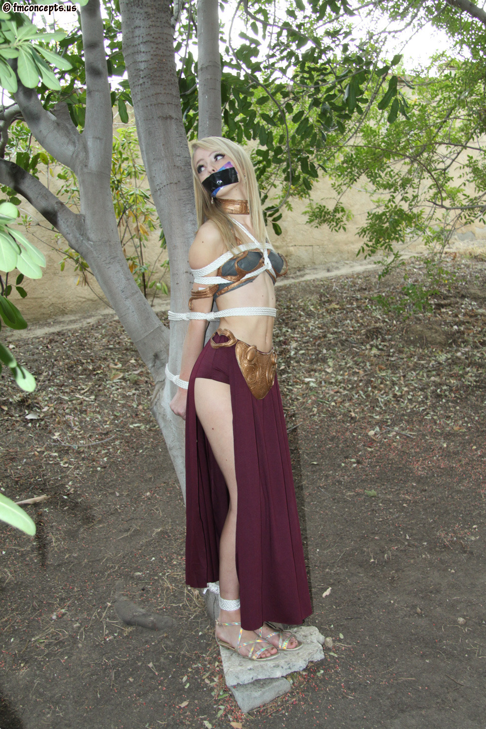 costumegirlsinbondage: Who in the galaxy will save the princess?  