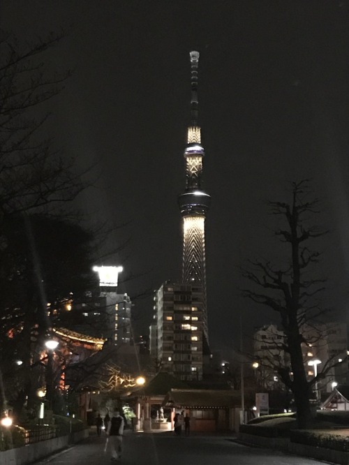 worldlytemptations:Tokyo Skytree, Tokyo, Japan 