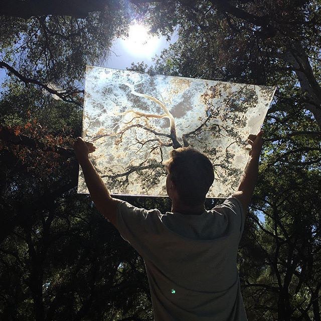 We started the @silverandlight instgram back up!! To see photos from the crew and my self follow us.Repost @silverandlight Some trees up in the hills today! @ian_ruhter @lvance2010 @will_eichelberger @cs_k #silverandlight #40x40camera #ambrotype
Post...