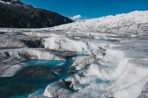 Mendenhall Glacier, Juneau AK