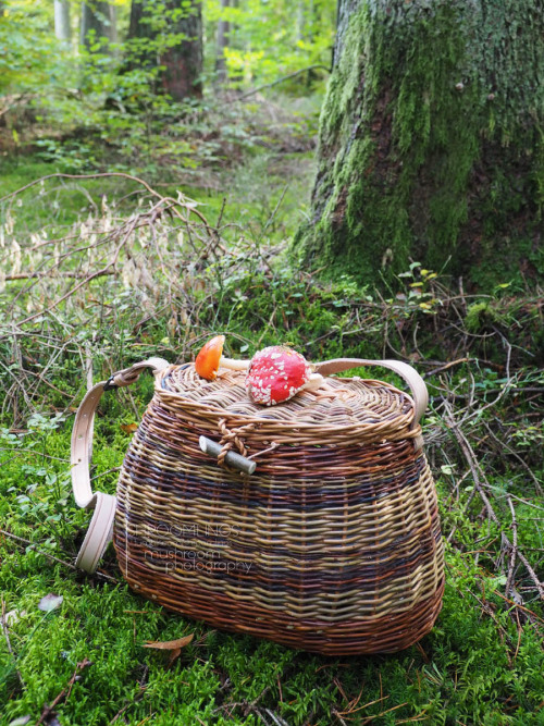 shroomlings: This is my foraging basket…