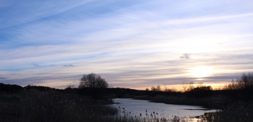 Ekebypölensunset skies over Uppsala, Sweden