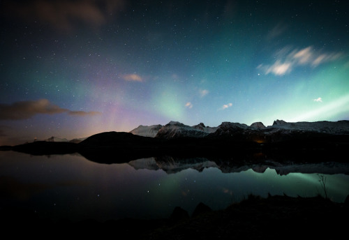 photosofnorwaycom:  c e l e s t i a l | lofoten, norway by elmofoto As I’ve said before, there’s nothing that can prepare you for the magic and wonder of the northern lights.  This was taken early in the evening, at the second stop of our all-night