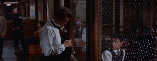 shesnake:Rebel Without a Cause (1955) dir. Nicholas Ray