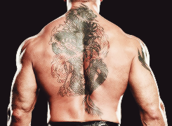 iamnolady:  coolest tattoos in WWE history