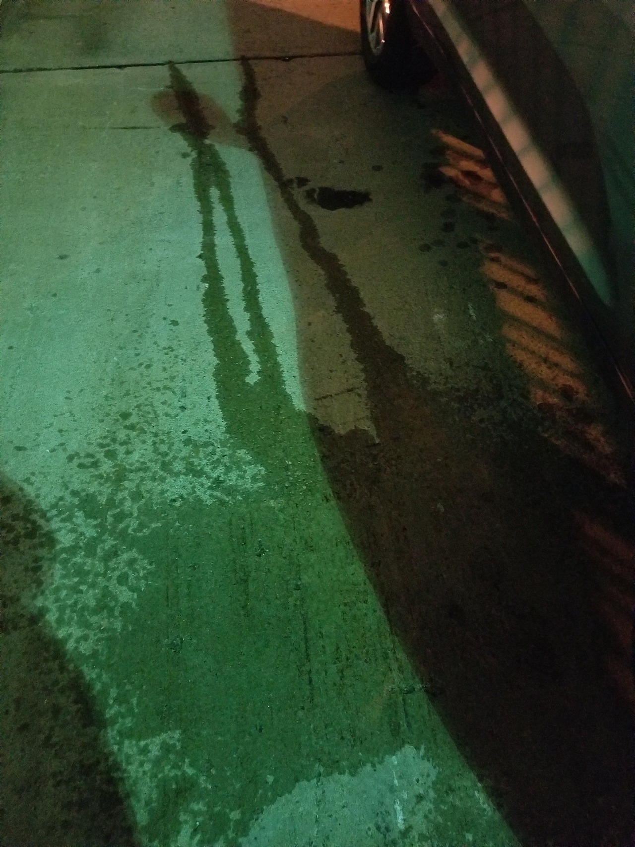 wetlittleme:I made it through my drive and found a dumpster to hide behind!