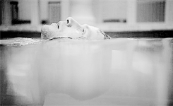 wolffganges:  fighting is easy; fighting is what I do.
