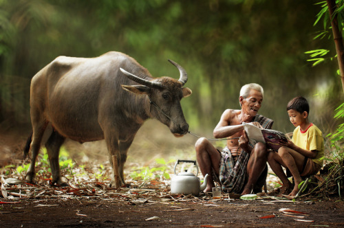 awkwardsituationist:  photos by herman damar in banten, indonesia