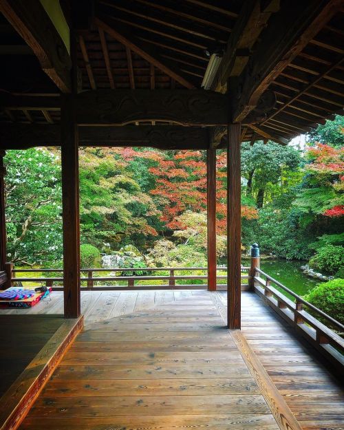 随心院庭園 [ 京都市山科区 ] Zuishinin Temple Garden, Kyoto の写真・記事を更新しました。 ーー平安時代の女流歌人 #小野小町 や“五摂家”九