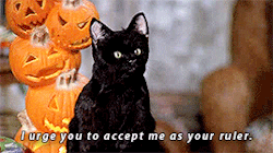malecs: CATS IN CINEMA: Salem Saberhagen, Sabrina the Teenage Witch (1996-2003) “Hey! Leave the sarcasm to the professionals.” 