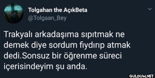 Tolgahan the AçıkBeta...