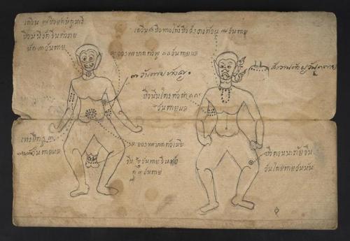 This week, we’re looking at Thai manuscripts.Ms. Coll. 990 Item 9, Thai Astrological and Medical Man