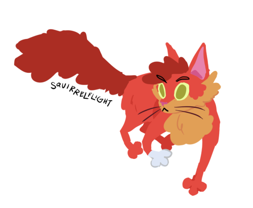 squirrelflight