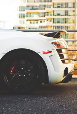 stayfr-sh:  Audi R8 GT PUR 4OUR | SF 