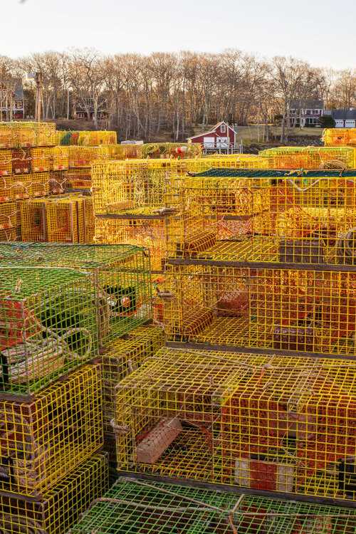 Lobster Traps MaineYashica Yashinon-DX 50mm f/1.7 lensSony A7