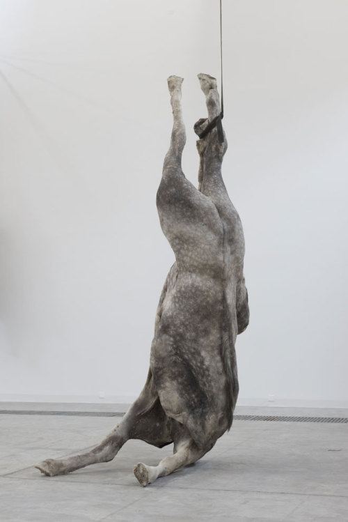 mitjaissick: Berlinde de Bruyckere We are all Flesh (Istanbul), 2011-2012 epoxy, iron armature, tr