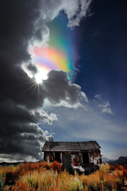 tulipnight:  The Ice Crystal Rainbow (Not),