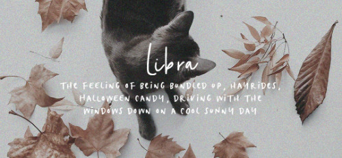 cruvcio:The signs as fall aesthetics   🍁 // (info)