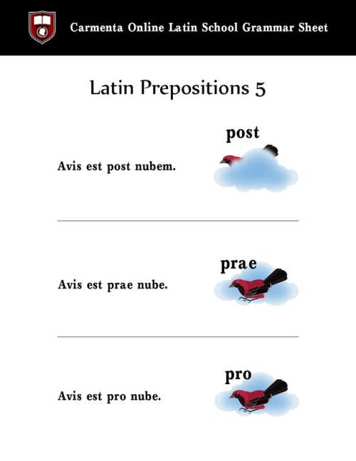 PRAEPOSITIONES V(vía Latin Tutors | Carmenta Online PhD Tutors | Latin Language Teacher Resources)