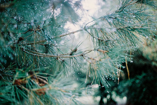 lesfoudres:  untitled by Sarita Lolita on Flickr.aghi.