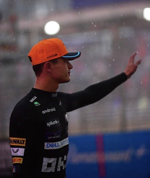 In The Paddock