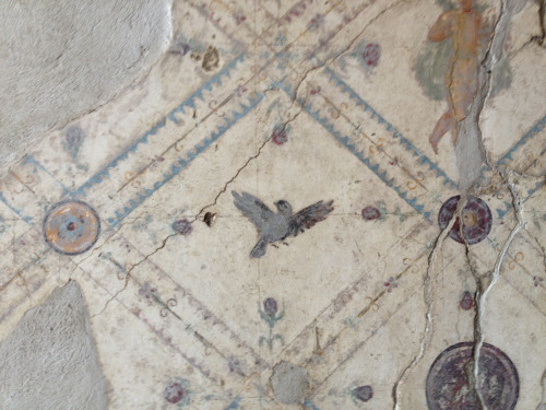 Details from a fresco in a triclinium of the Villa Arianna at Stabiae Roman, late 1st Century B.C. o