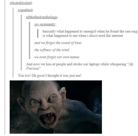 the-lostsister-ofmischief:  This is why I love the LotR fandom. 