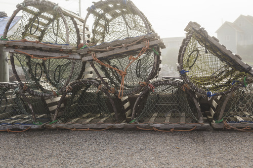 Lobster traps and buoys. 