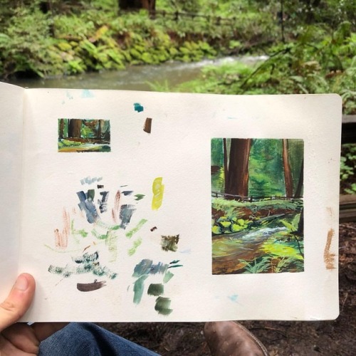 Went painting at Muir Woods today! Been trying to do plein air painting more lately. Still hoping to
