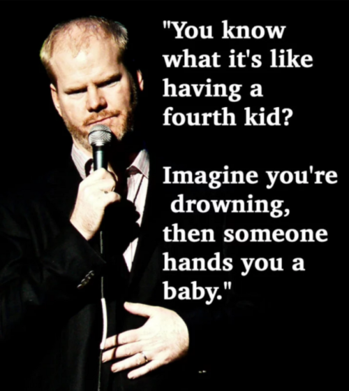 Funny Parenting Quotes from Comedians (see 8 more)