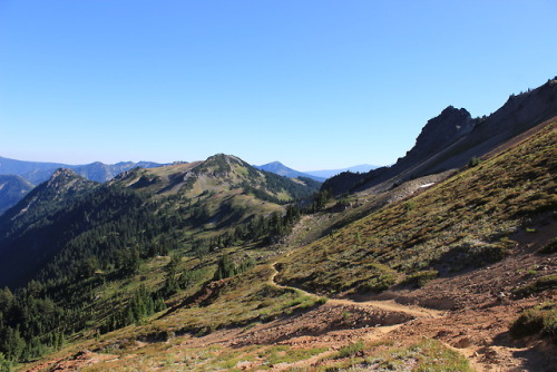 burningmine:Goat Rocks Wilderness, August 2017