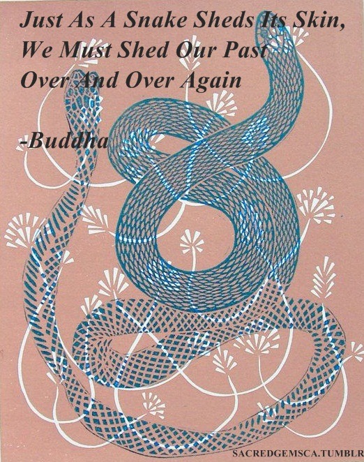 sacredgemsca:  BUDDHIST THOUGHTS IMAGE CREDIT http://aijungkim.com 