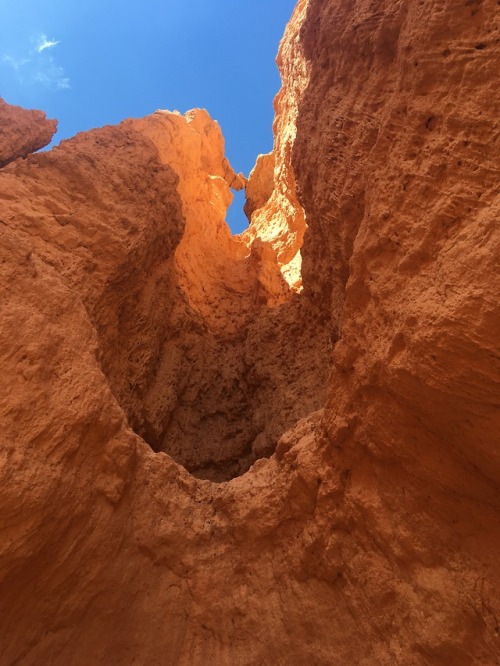 masterbreadman:Bryce Canyon Navajo Loop… also Thor’s Hammer at the top to the right.Bryce Canyon may
