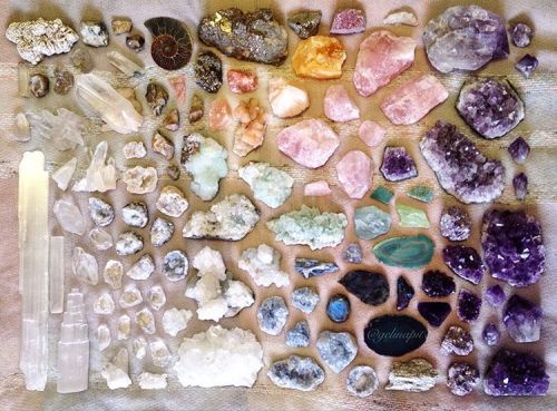 floralwaterwitch:✨ here are most of the larger raw pieces from my collection, the selenite to the le