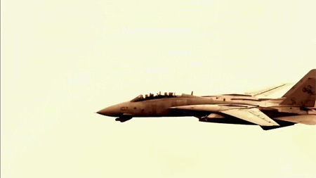 riidaroku:  F-14 