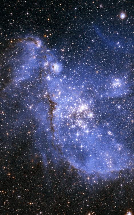 NGC 346 is an open cluster with associated nebula located in the Small Magellanic Cloud that appears