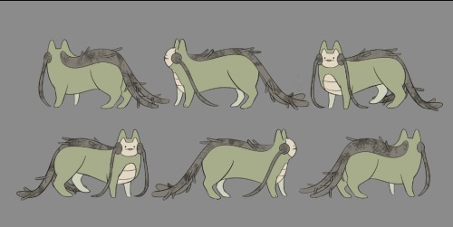 A Sub Species Of The Cat Axolotl And Some Details Of Its Anatomy :3
